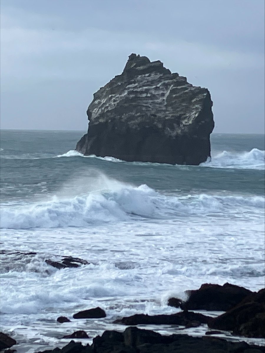 EC4H - Effective Communication for Healthcare tweet media