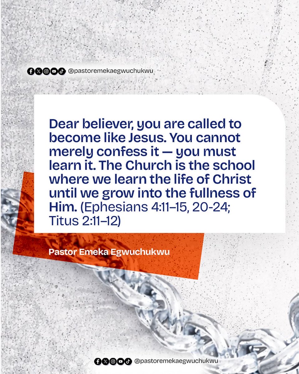 Pastor Emeka Egwuchukwu tweet media