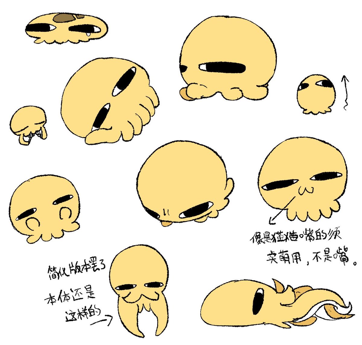 晓 tweet media