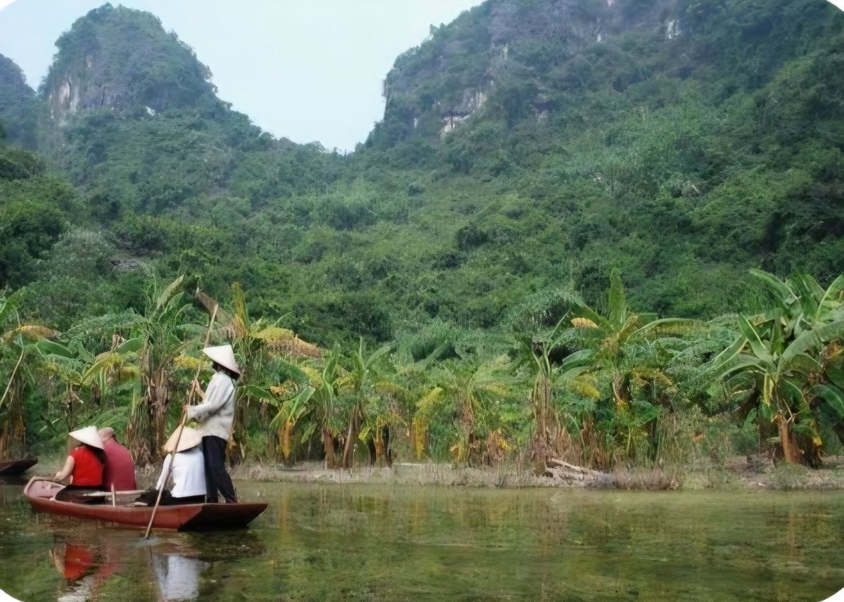 martoche07's tweet photo. Mon prochain #voyage sera le #vietnam ...
J'ai trop hâte...encore un peu de patience ...🥰🥰🥰 
Les voyages c'est la vie ... découvrir...partager...donner ... Apprendre...Merci la vie 🥰
Hâte... https://t.co/cut3FKRoxi