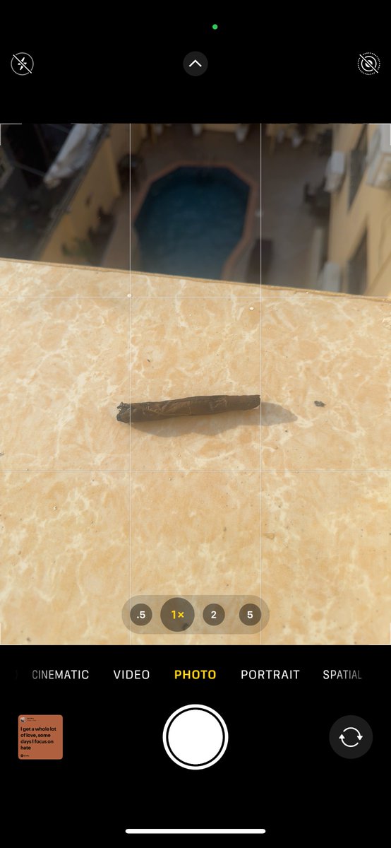 RELENTLE$$🐎🐎 tweet media