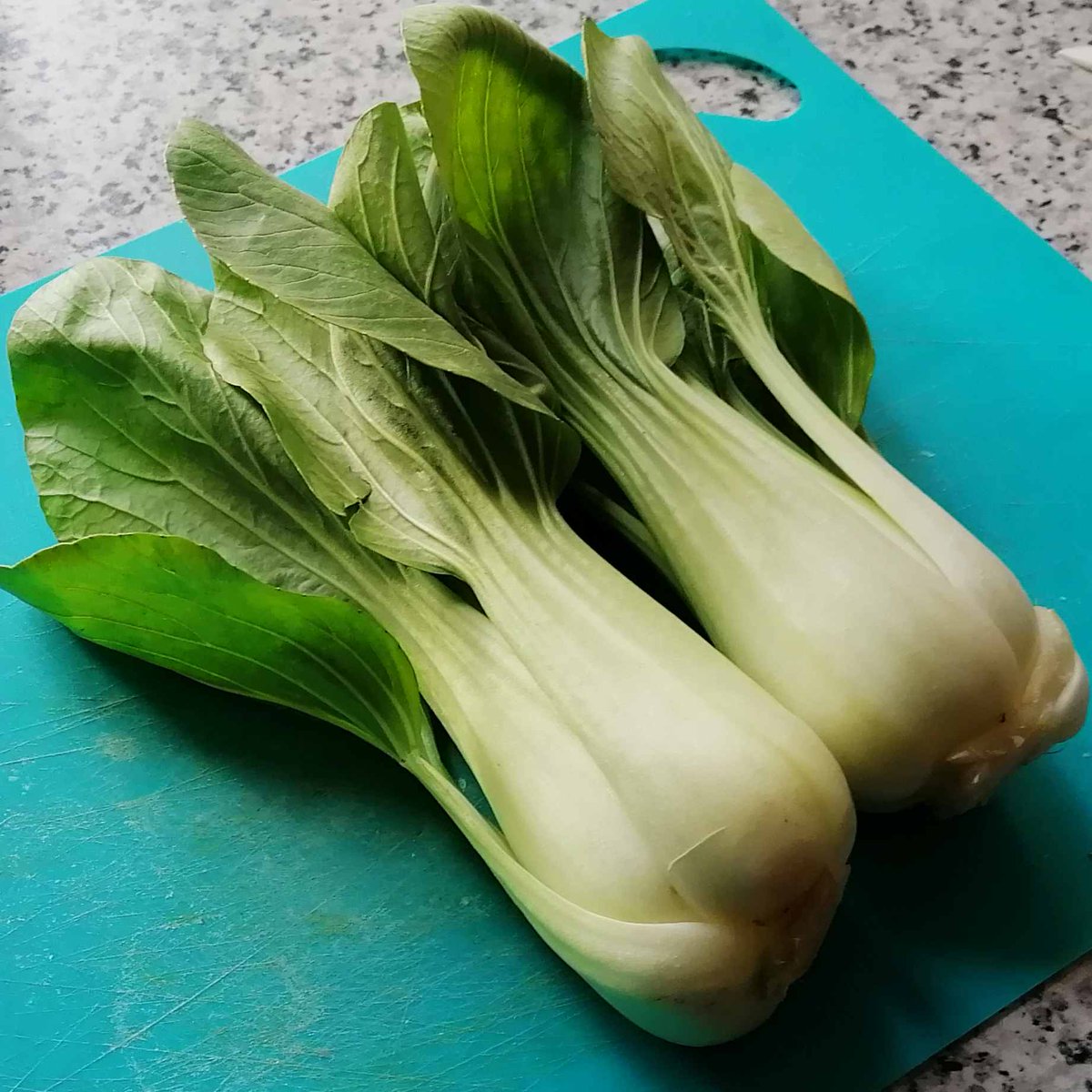 MikeKocht's tweet photo. Motto für den #Risotto: Italien trifft Asien
#PakChoi, #Knoblauch, #Ingwer und #Sojasoße sorgen für den passenden "Touch"
Fleischlos, #vegetarisch. Geht aber sogar #vegan bei vollem Geschmack

https://t.co/UwMTY5iuxI https://t.co/fEdggmS94s