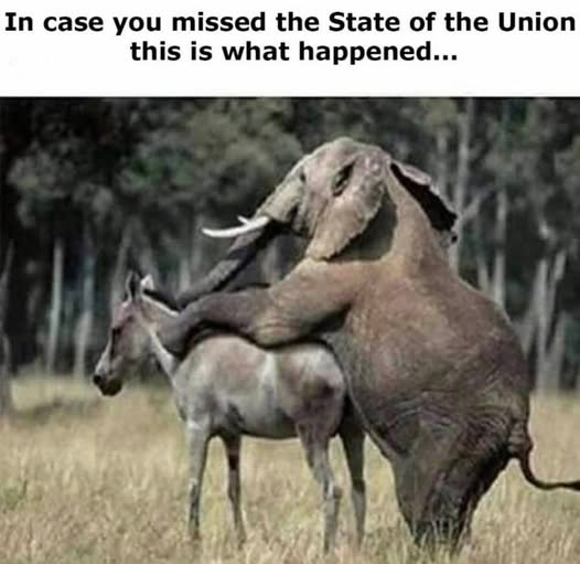 <a href="/libsoftiktok/">Libs of TikTok</a>