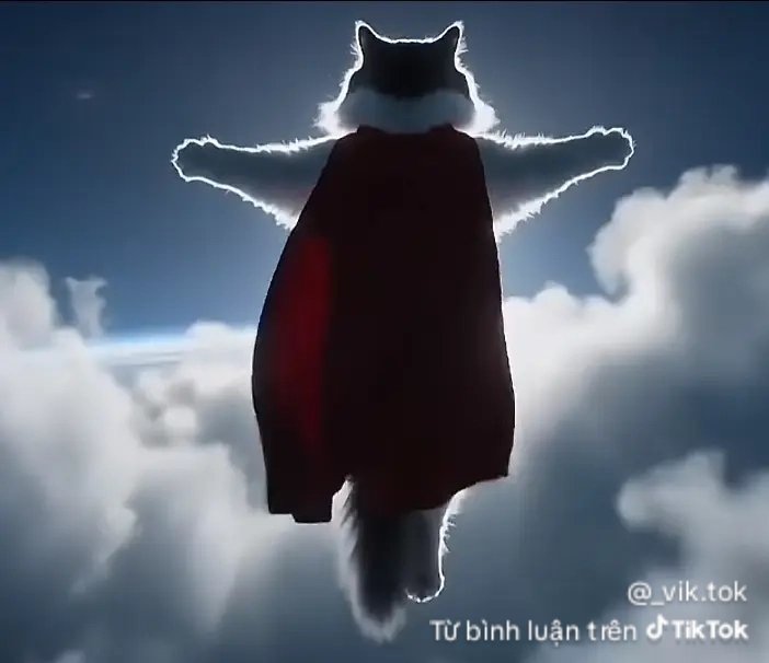 Lộc Phan tweet media