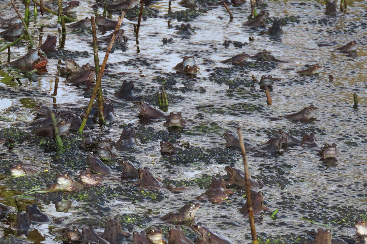 Donna Rainey tweet media