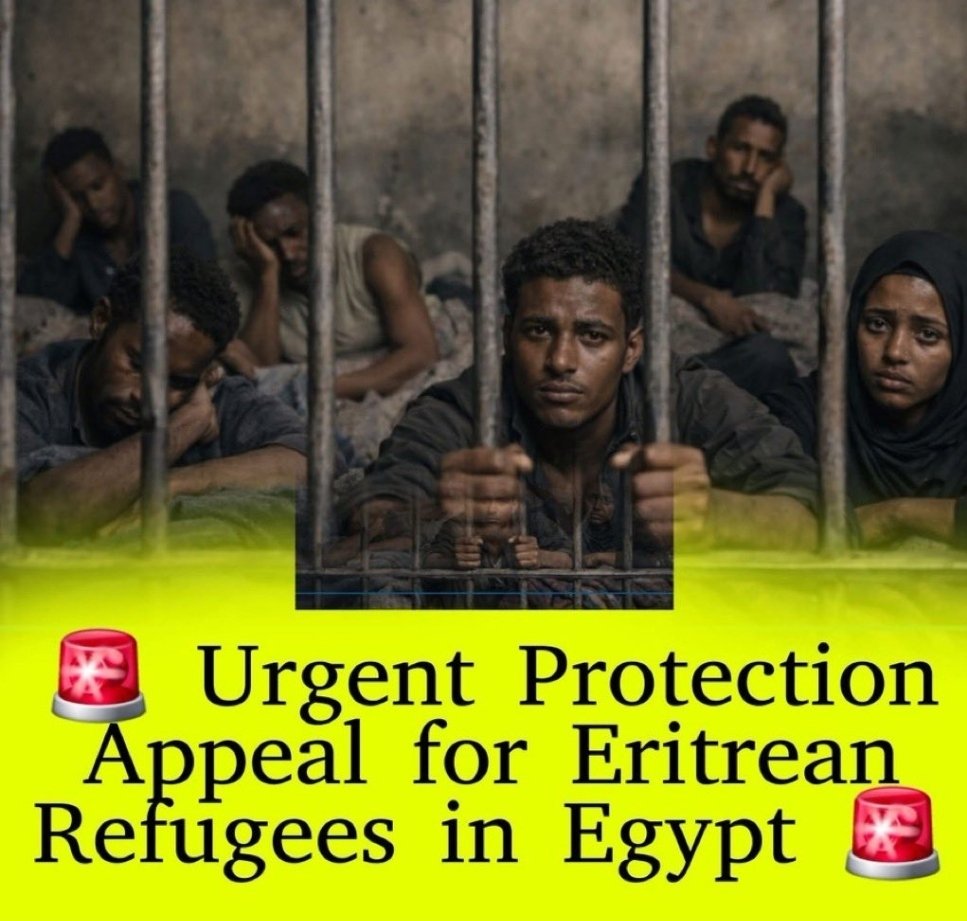 HabeshaQue63306's tweet photo. EGYPT: STOP TRADING ERITREAN LIVES FOR GEOPOLITICS!
3,000+ Eritreans are being hunted, tortured, and illegally deported from Cairo to the regime they fled. Handing a refugee to Afwerki is a death sentence.
#Egypt : Respect Non-Refoulement.
@Refugees: Protect those holding your cards.
We are the Eritrean Blue Revolution Front #EBRF, refuse to be silenced. No more container prisons at home or torture cells abroad.
The Blue Wave is rising. 🌊✊
#EBRF #Eritrea #BlueRevolution #BirgedNhamedu #Egypt #HumanRights #StopDeportations #JusticeForEritreans
@Refugees, @amnesty, @UNHumanright, and major news outlets like @BBCAfrica or @AlJazeera