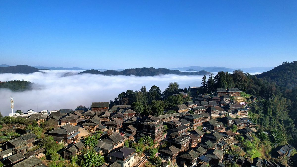 Román Meyer Falcón tweet media