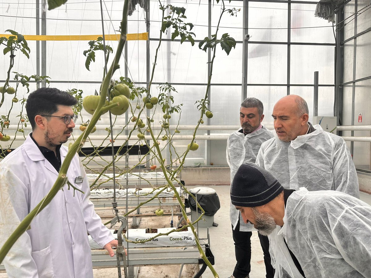 Bitkisel Üretim Genel Müdürlüğü tweet media