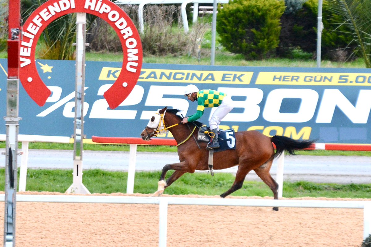 #ÇİÇEKTOHUMU
Güzel kızım sen kafana koyduğun herşeyi yaparsın çünkü inanılmaz bir gücün var.💐🥇
<a href="/omer_6N/">Ö𝐦𝐞𝐫𝐢 𝐀𝐆𝐀 𝟔𝐍</a> 
<a href="/6nmikail/">Mikail Altın</a>