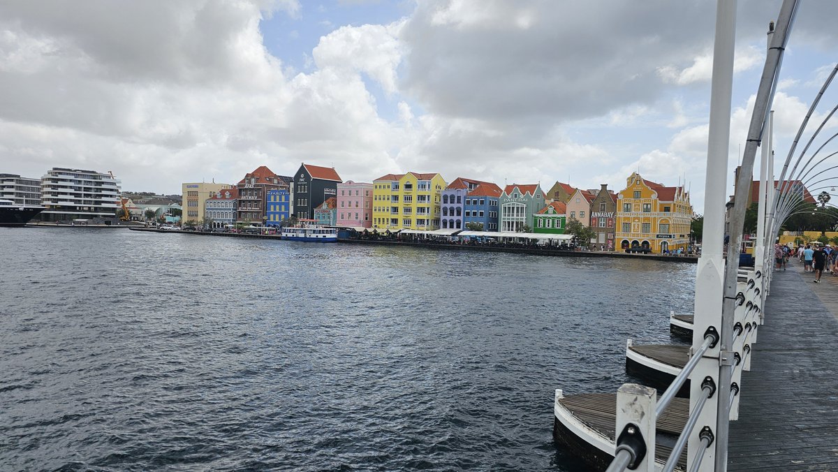 Pleas Proffitt tweet media