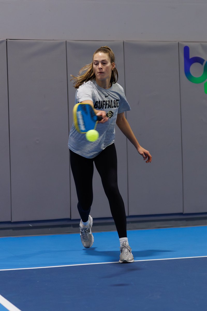 Colorado Buffaloes Volleyball tweet media