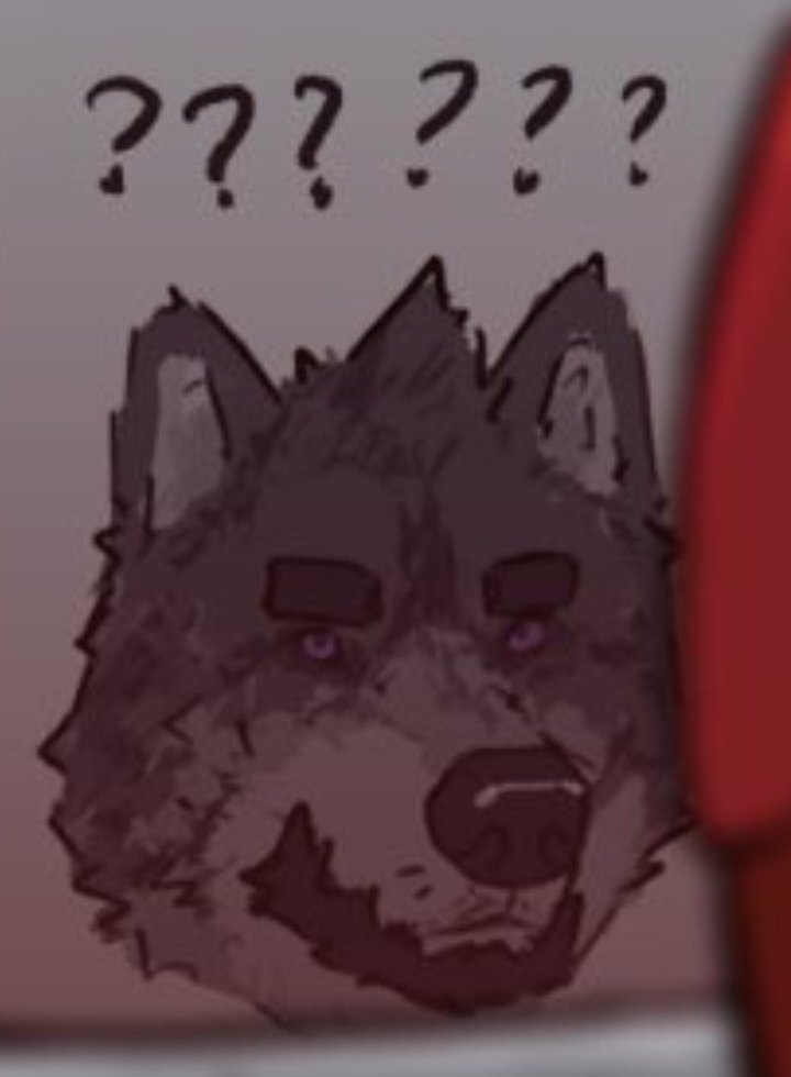 Max's dog tweet media