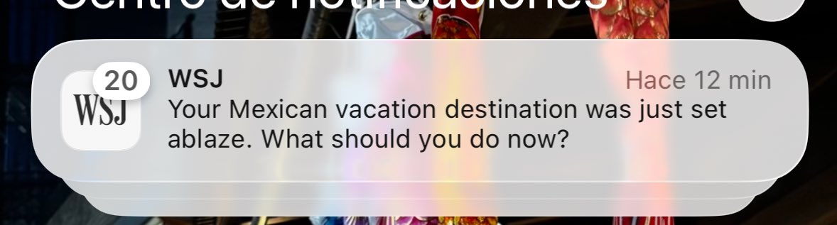 Alejandro tweet media