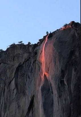 Jim Mitchell tweet media