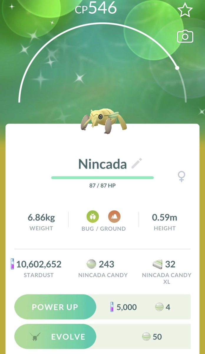jessayleee's tweet photo. It’s nice to see Pokemon Go boosting shiny odds in honor of #BUGMONTH 🐛 https://t.co/AEfB6HmjNp