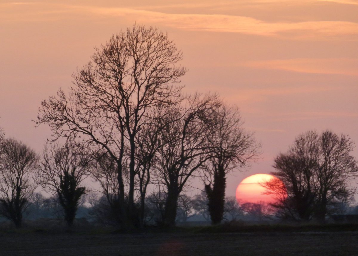 Steve Stone tweet media