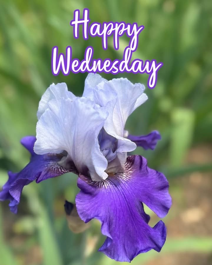 mshafqat72's tweet image. A new day to reset, refocus, and move one step closer to your goals. Keep shining, keep striving, and let your positivity lead the way. 💫

#HappyWednesday #MidweekMotivation #StayPositive #KeepGoing #NewDayNewGoals