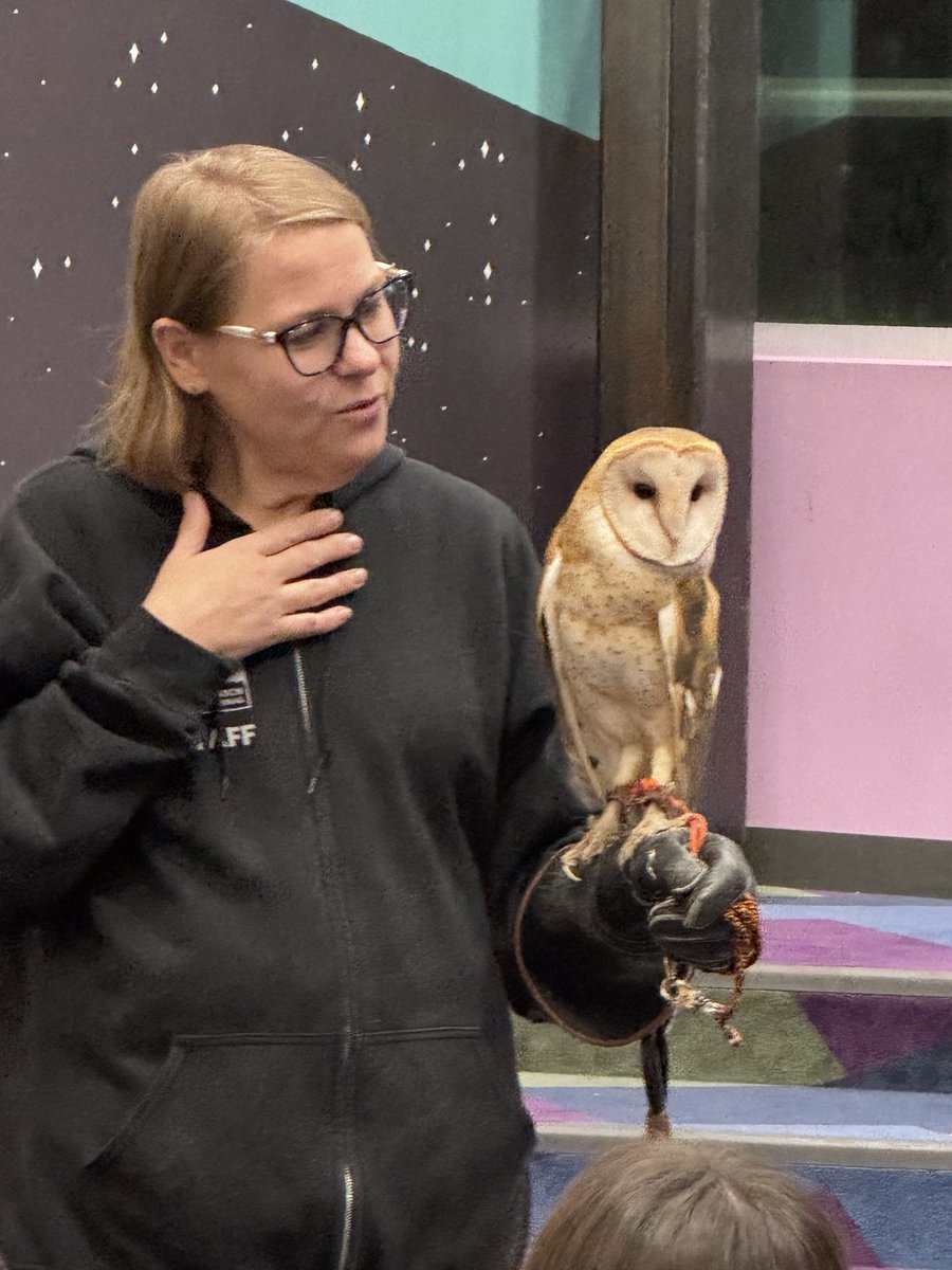 The County Library tweet media