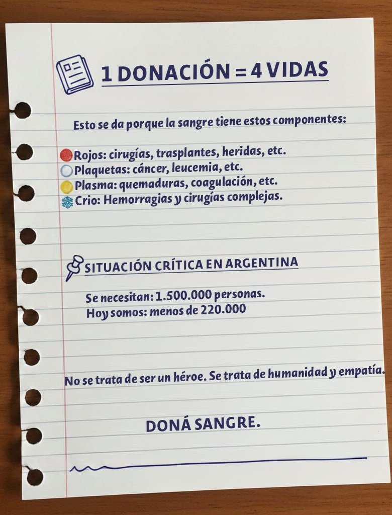 sylvia caprara 💛 tweet media