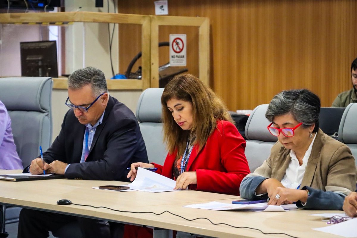 Delegación Presidencial Regional de Los Lagos tweet media