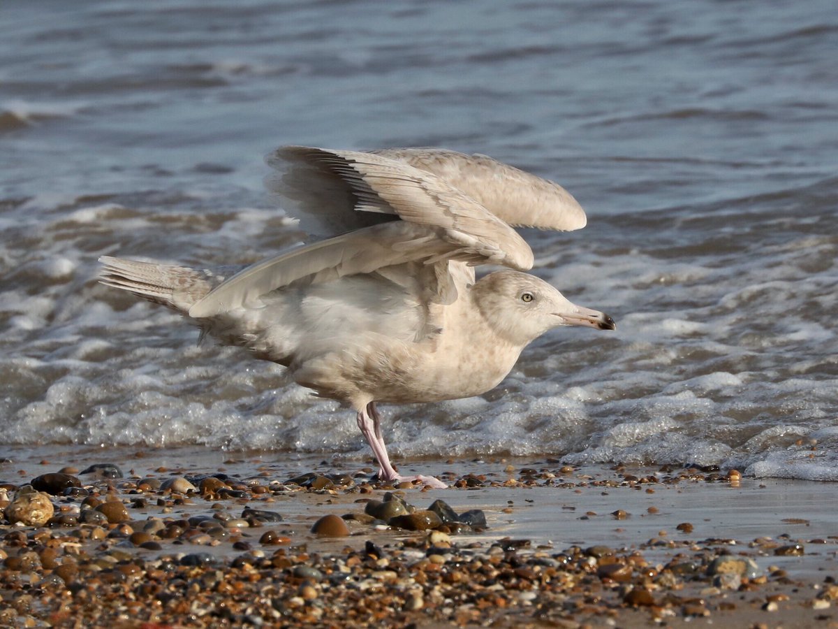 Tim Oakes tweet media