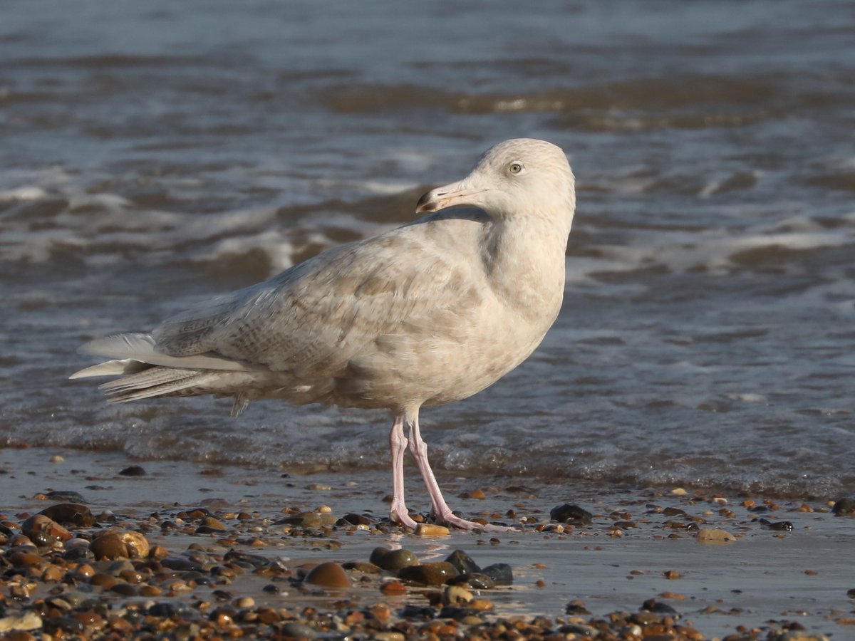 Tim Oakes tweet media