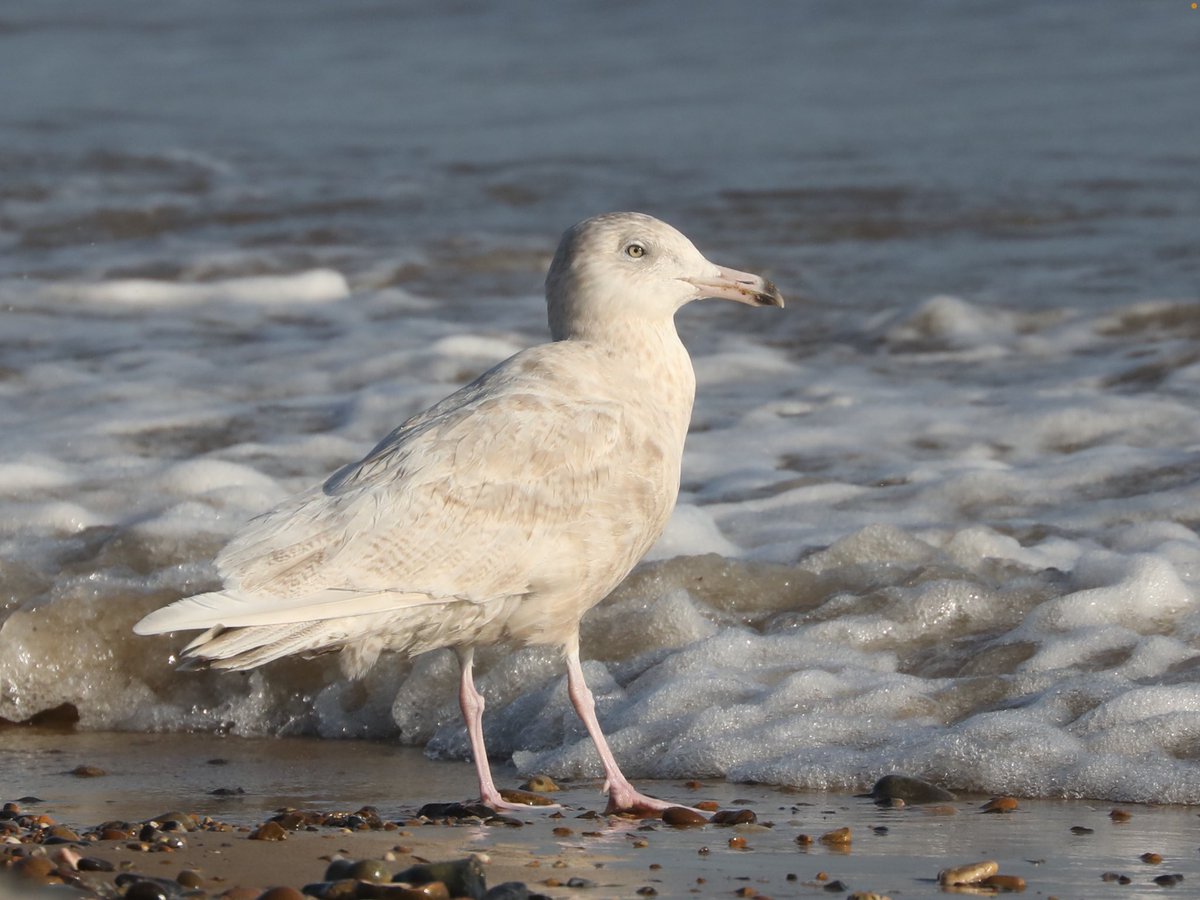 Tim Oakes tweet media