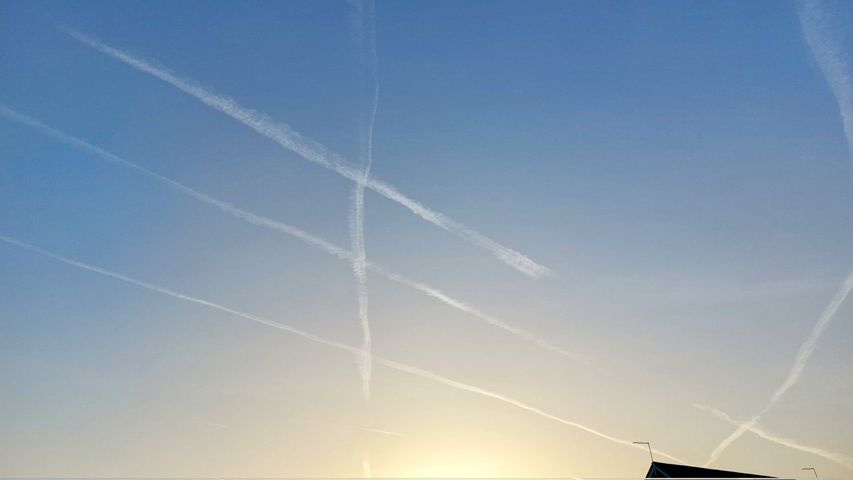 Lynda Bullock tweet media