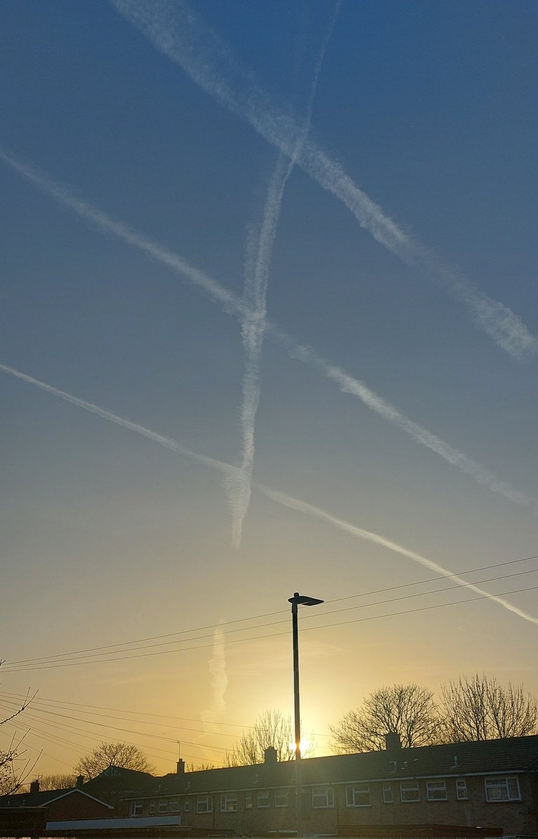 Lynda Bullock tweet media