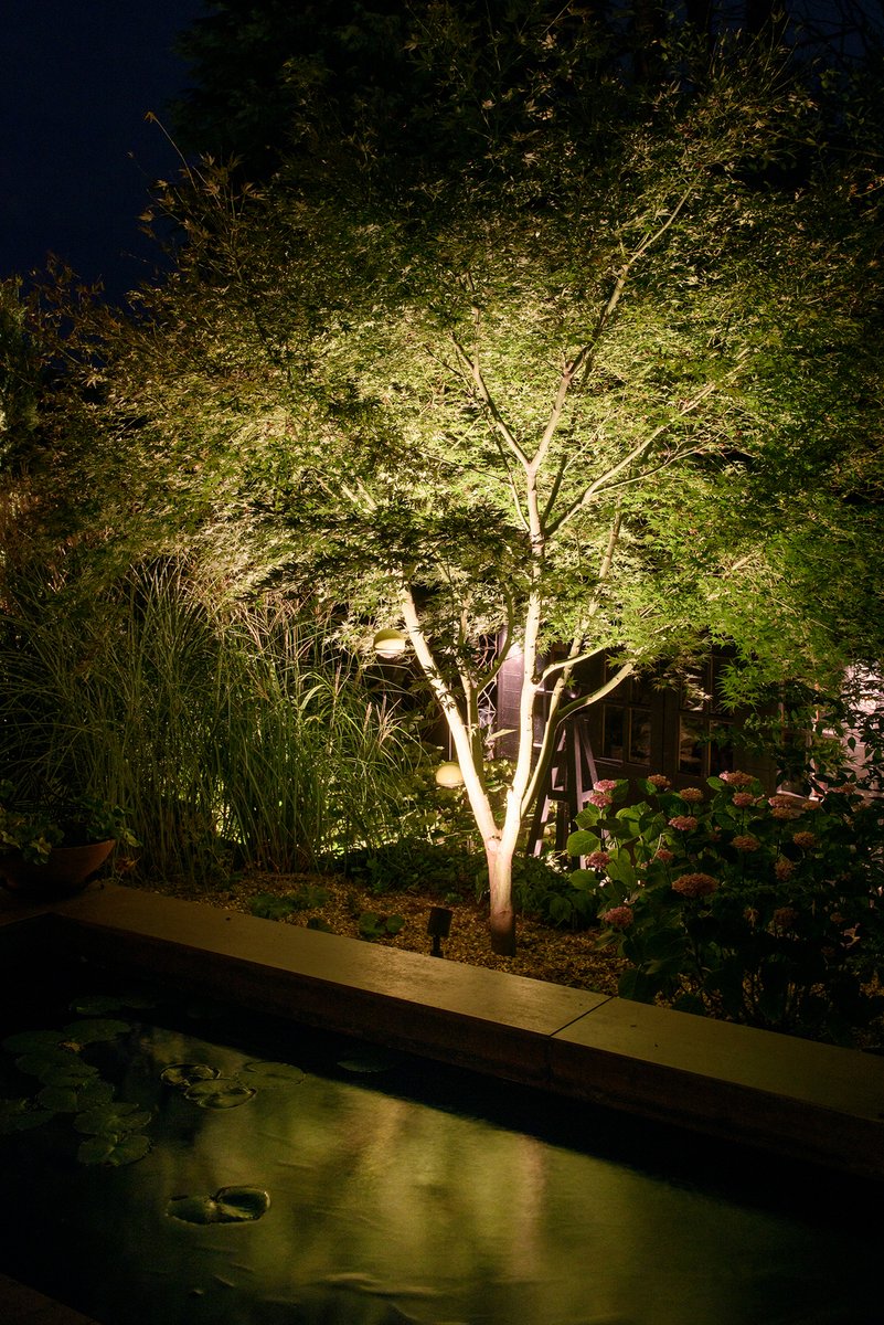 Moonlight Design tweet media