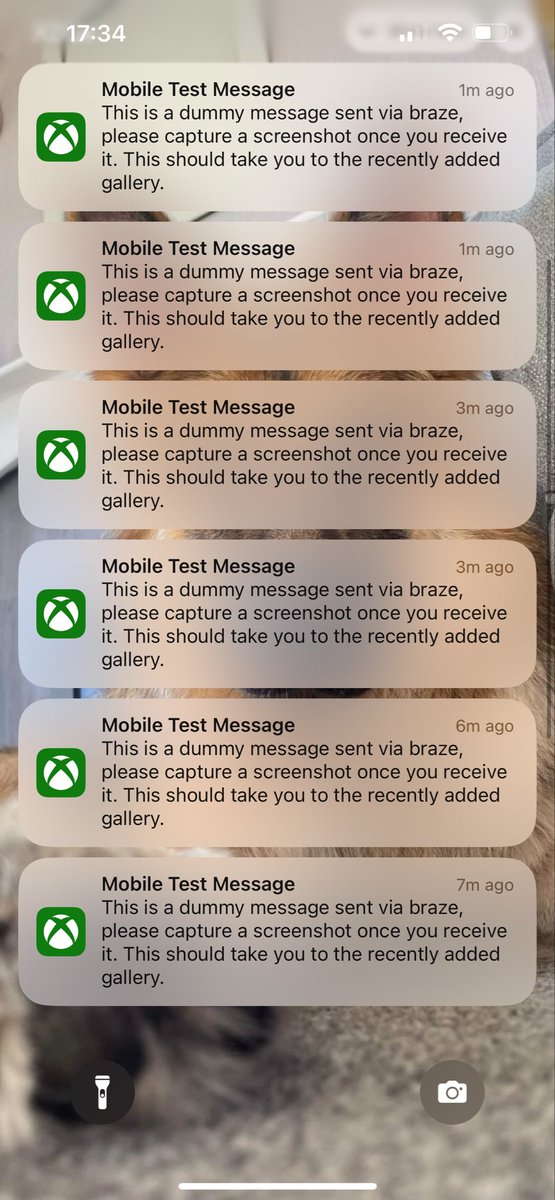 Jeff Connor tweet media