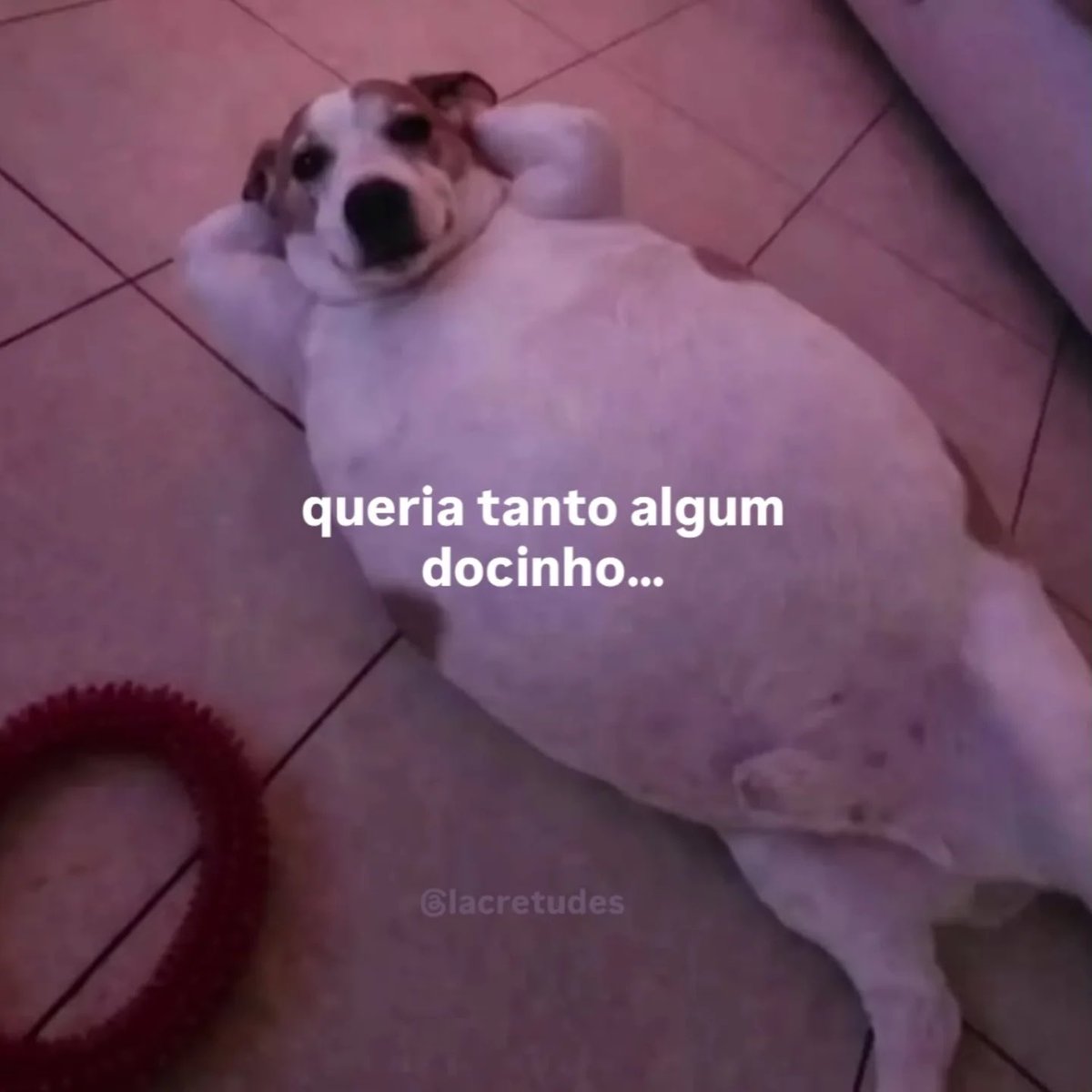 acervodoguinhos's tweet photo. https://t.co/Yg9dgMCwnO