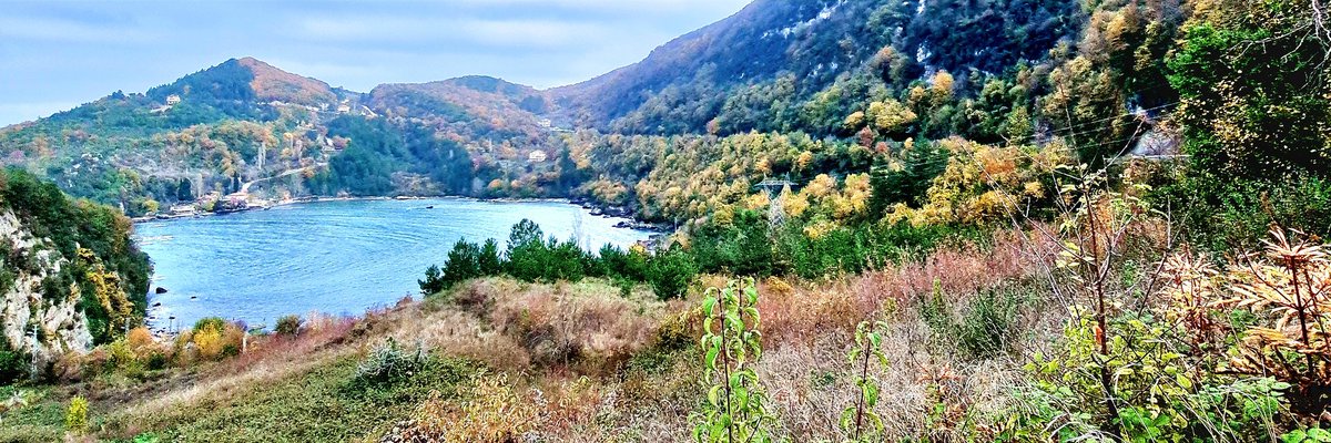 AldasEnver's tweet photo. HAZAN DA HÜZÜN 

Rüzgârdan hızlı geçti güzel günlerimiz.
Anı defterinde, sığdı birkaç satıra. 
Beyhude düşünmek, görüyor gözlerimiz;
Solan gülün yaprağında kalan hâtıra.

                     SAKİN OZAN 

Çekimler; 9-10 Aralık 2020, Kastamonu sahilde. https://t.co/rpYEMr9zf1
