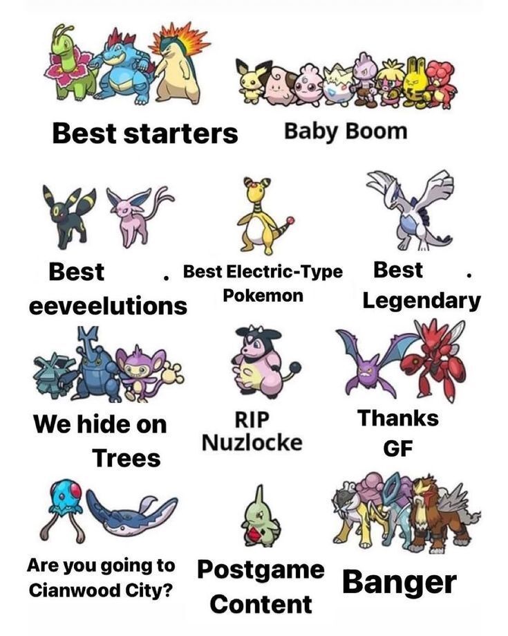 Pokémon Posts tweet media