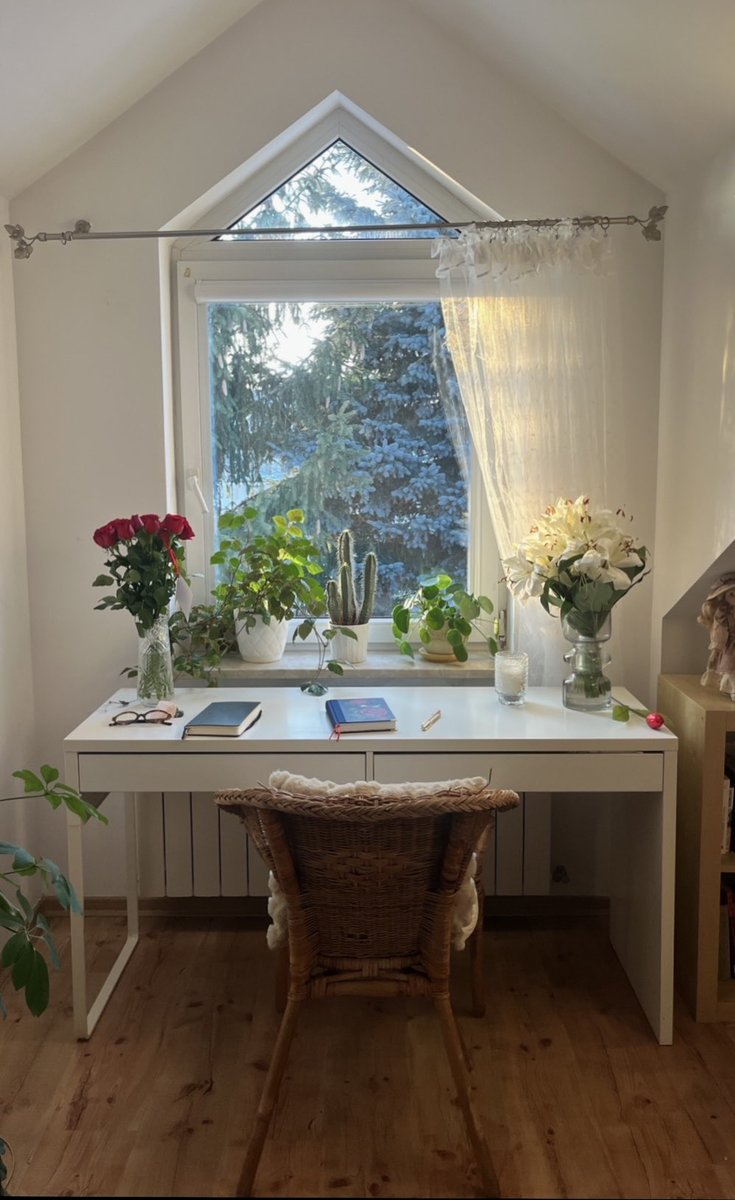 Karolina tweet media