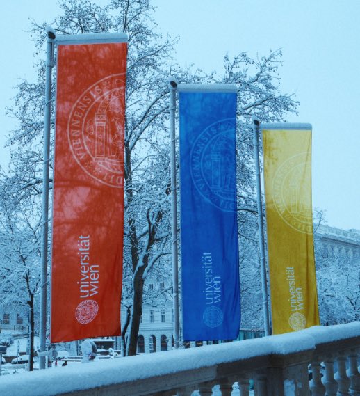 Sevin Kaytan tweet media