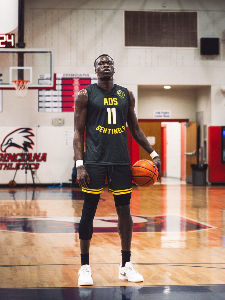 ADS Sentinels tweet media