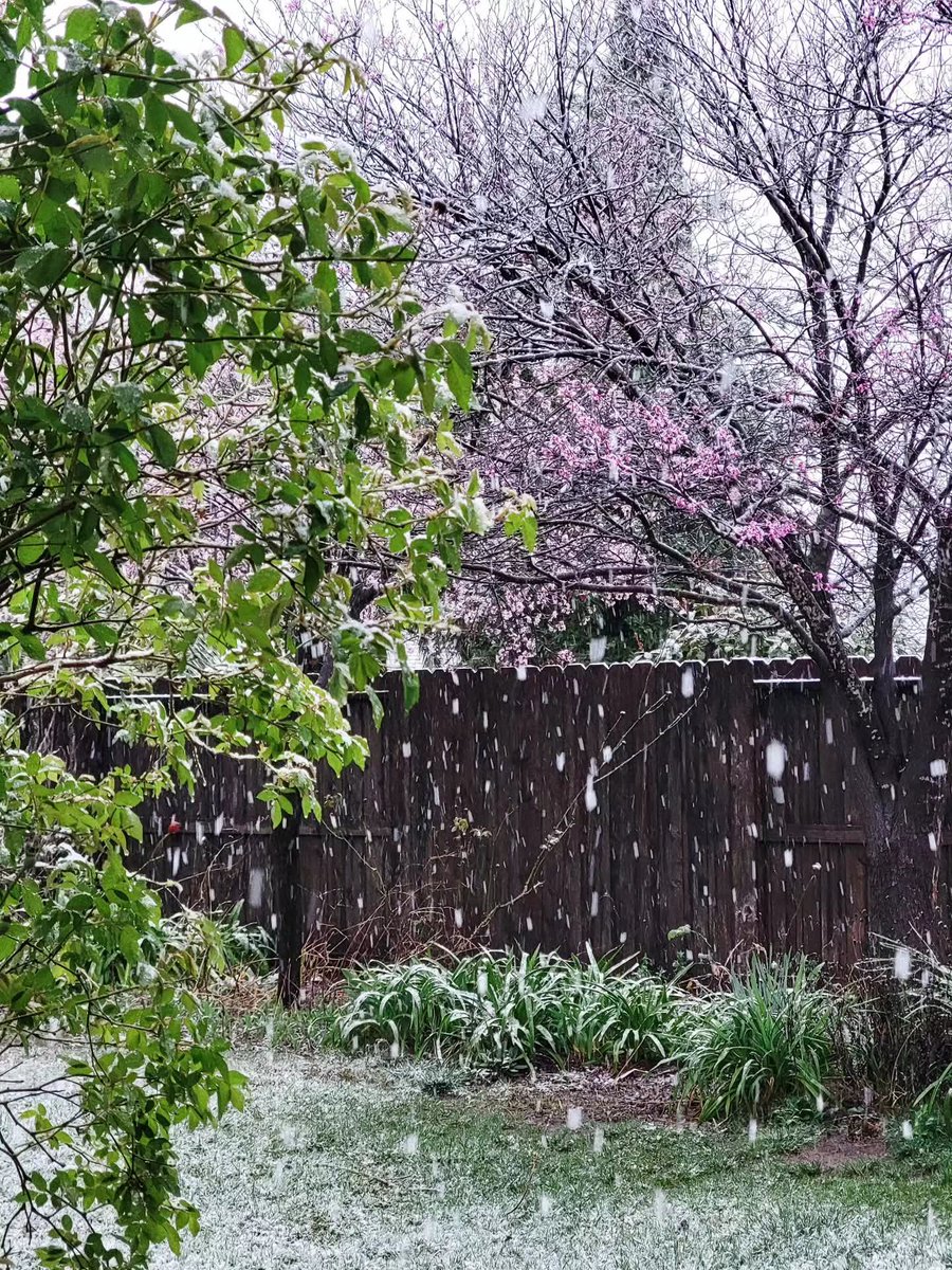 Sarah Cameron tweet media