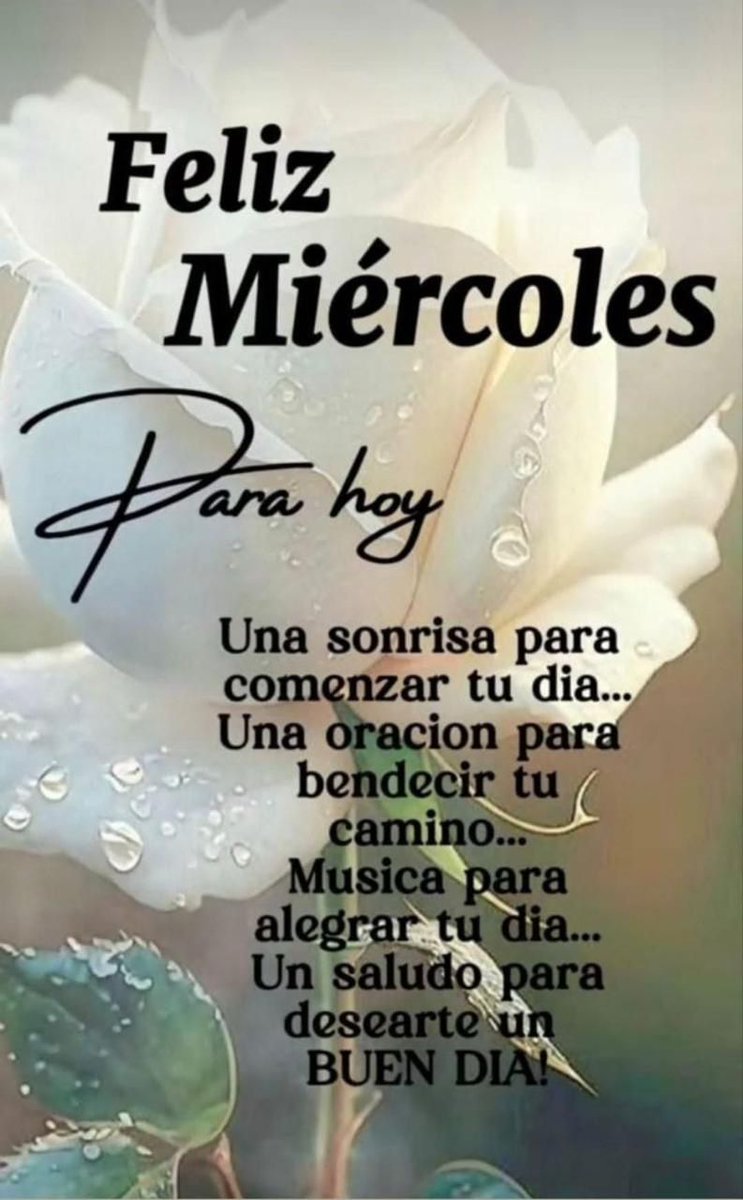 MARIA LUISA VALCARCEL DEL BARRIO (@valcarcel_89995) on Twitter photo 