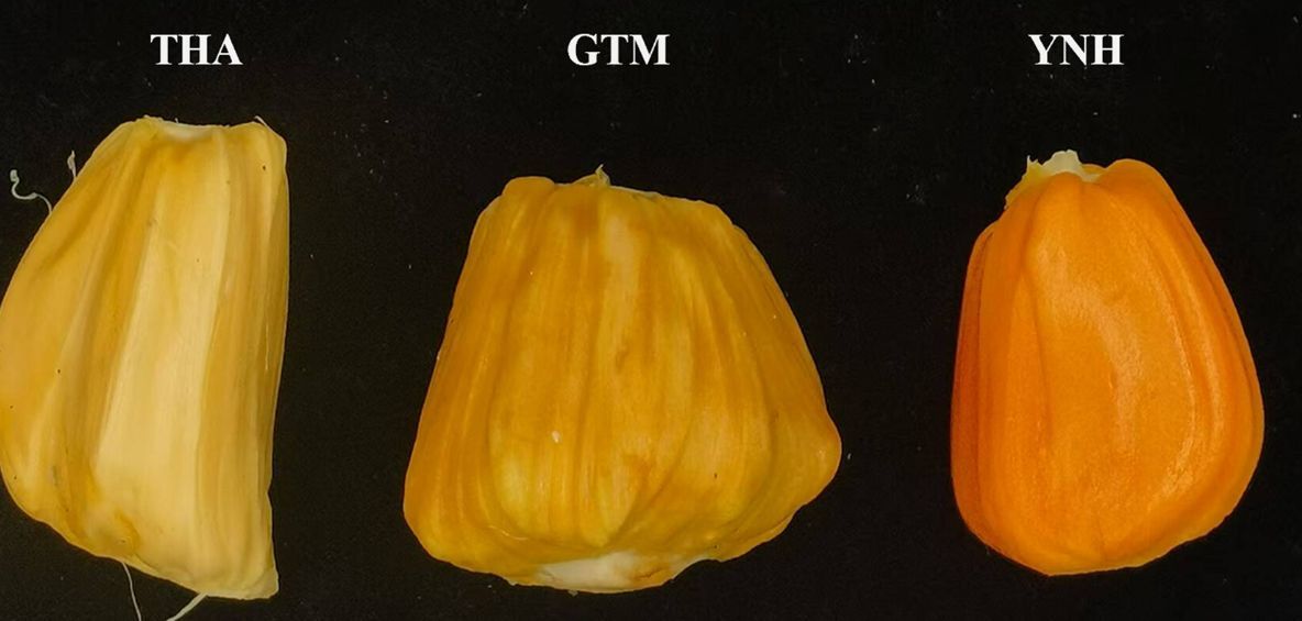 Plant Direct Journal tweet media