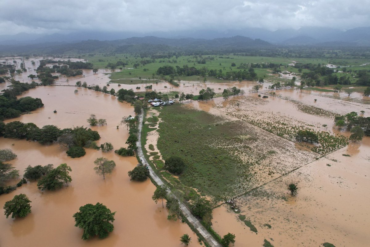 Nubia Carolina Córdoba-Curi tweet media