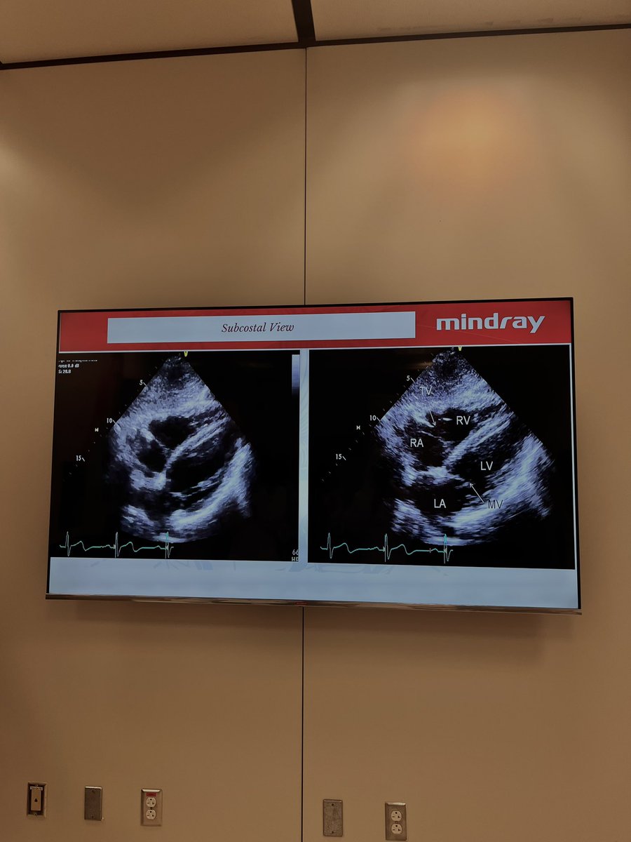 RAD. جميلة 🎓 tweet media