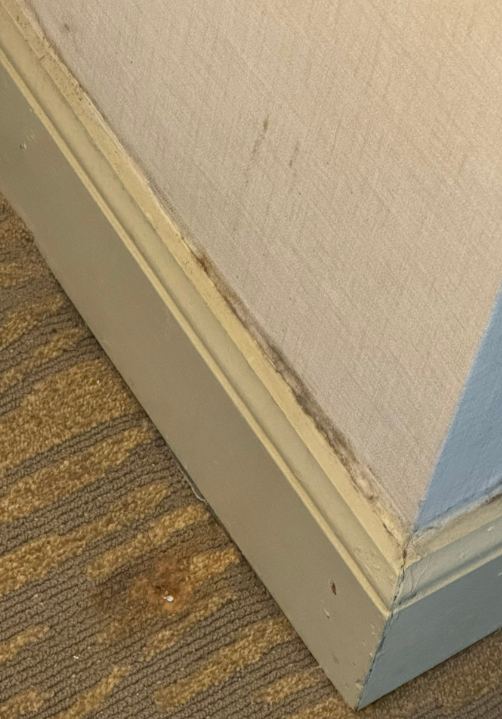 ItsTheLegend tweet media