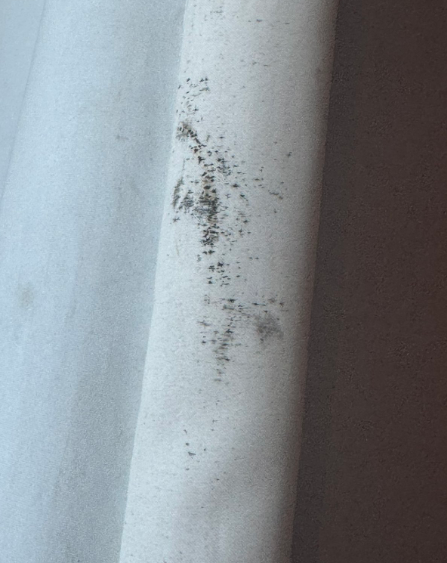 ItsTheLegend tweet media