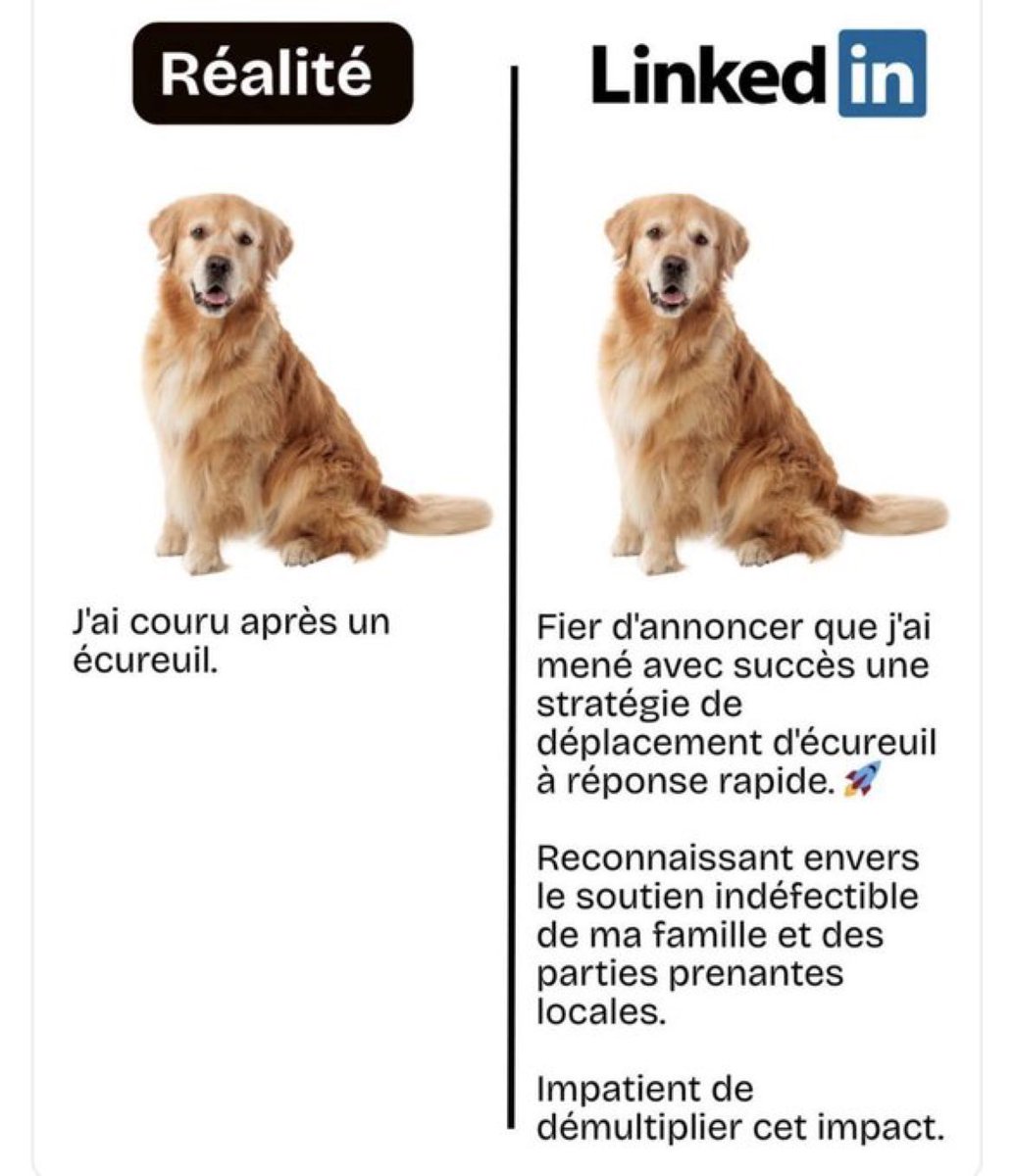 SecuriteInfoCom's tweet photo. Voilà pourquoi je n’ai pas de Linkedin. https://t.co/5FeqHsImC4