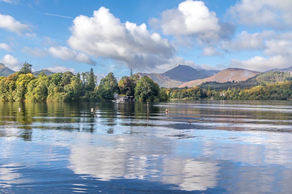 Andrew Locking tweet media