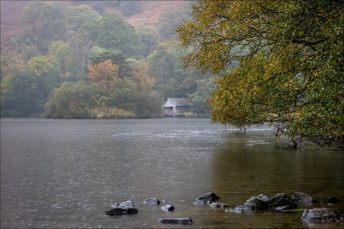 Andrew Locking tweet media