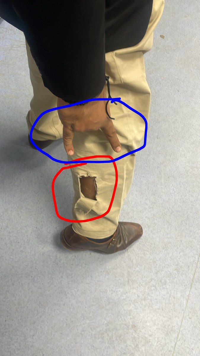 This is how animal abuse is operating on a large scale in India under Shree Shree <a href="/narendramodi/">Narendra Modi</a> 's leadership:-

Step 1 - Tease an animal be it by blaring horns at them or flinging them by picking them by their legs and tossing them 👉 instagram.com/reel/DTNPBwfEo…

The above step is