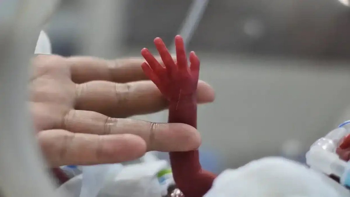 Leading Report tweet media