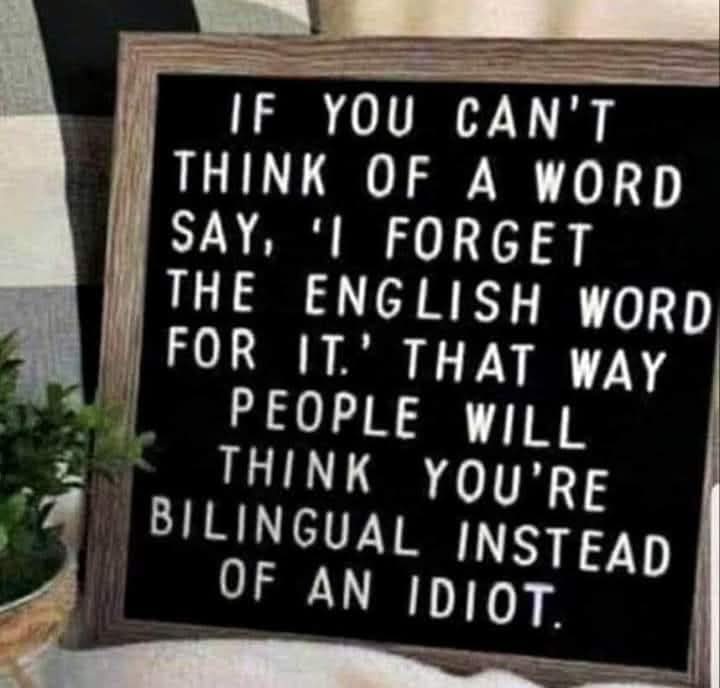 Dr Allison O tweet media